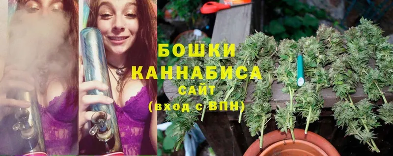 Конопля White Widow  цены наркотик  Нюрба 